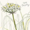 Spring Allium Sympathy Card- Greeting Cards