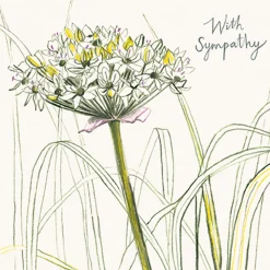 Spring Allium Sympathy Card- Greeting Cards