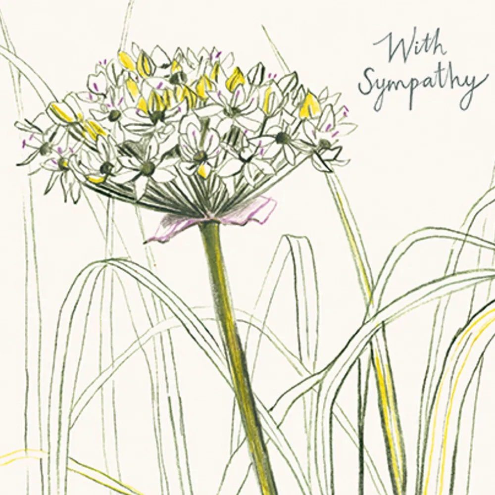 Spring Allium Sympathy Card- Greeting Cards