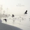 Still Waters Sympathy Card- Greeting Cards