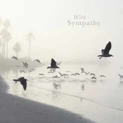 Still Waters Sympathy Card- Greeting Cards