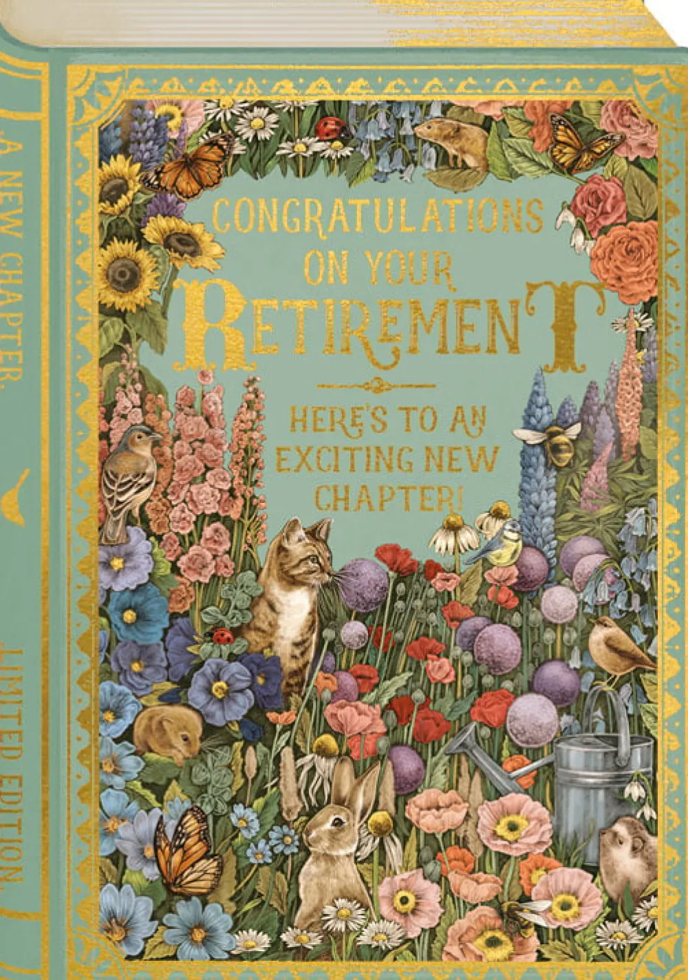 Storybook Retirement Card- Greeting Cards