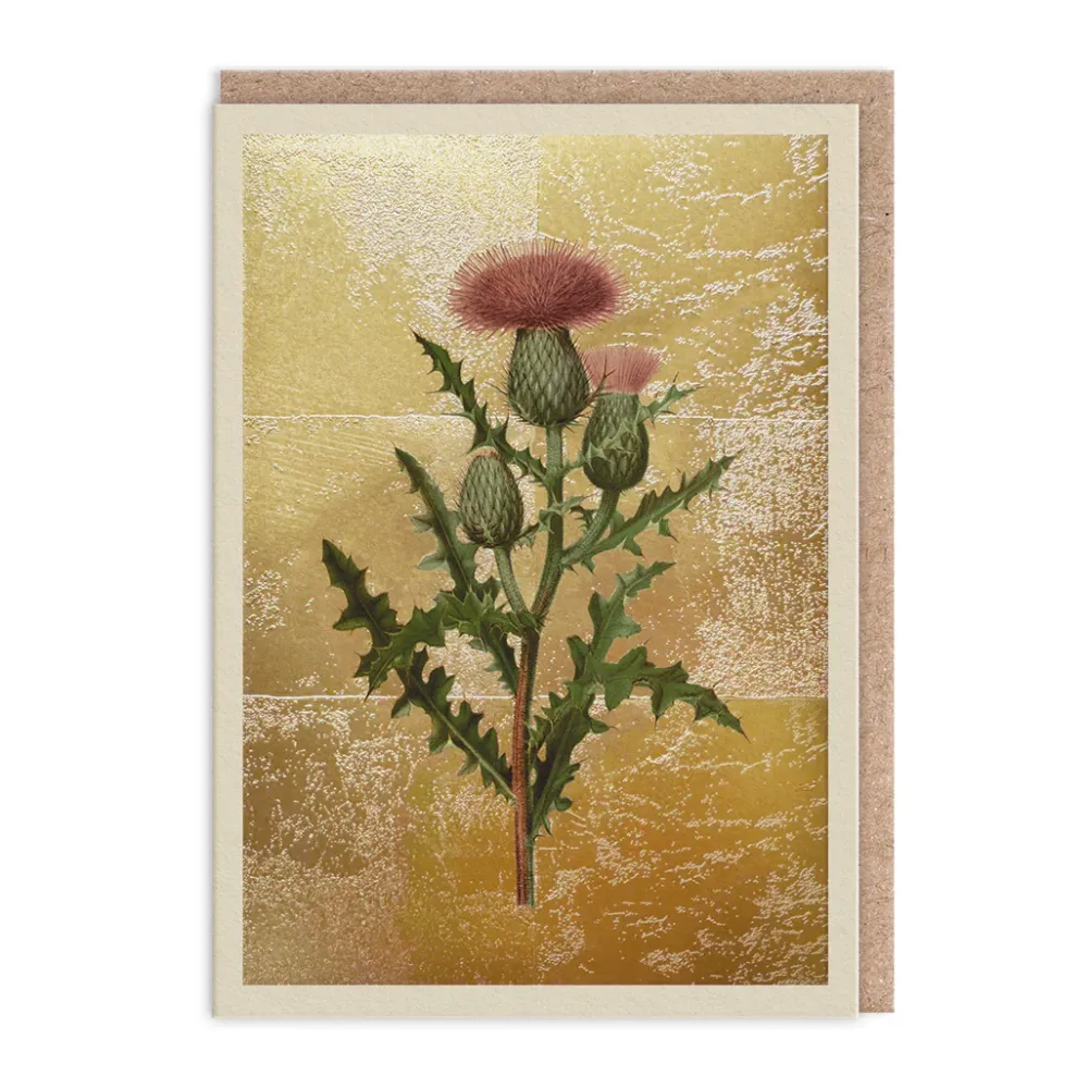 Thistle Card- Greeting Cards