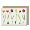 Tulip Parade Greeting Card- Greeting Cards