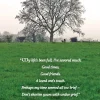 Undue Grief Irish Sympathy Card- Greeting Cards