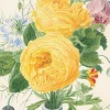 Vase of Flowers Greeting Card- Greeting Cards