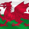 Wales Large Flag- Souvenirs