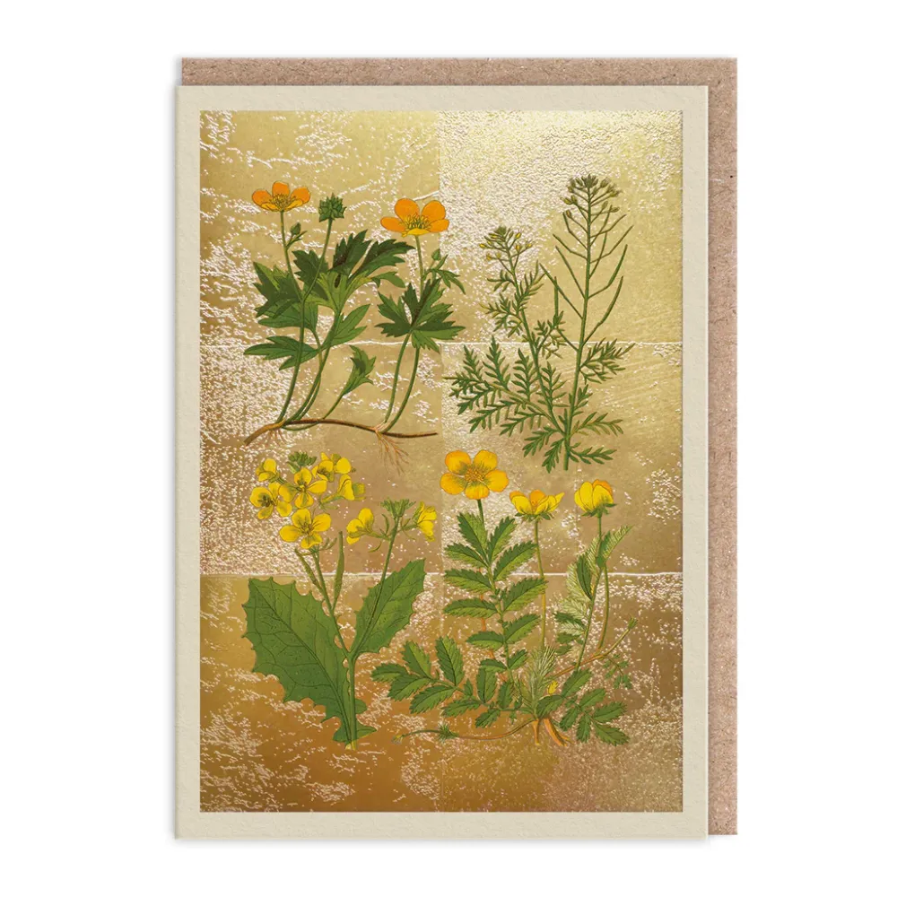 Wild Marsh Flower Collection Card- Greeting Cards