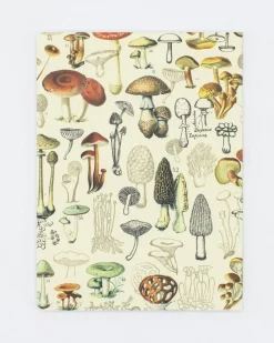 Woodland Mushrooms Softcover Notebook (Dot Grid)- Journals & Other Stationery