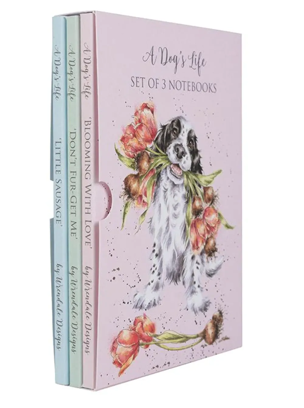 Wrendale A Dog's Life Notebooks, Set of 3- Journals & Other Stationery