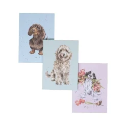 Wrendale A Dog's Life Notebooks, Set of 3- Journals & Other Stationery