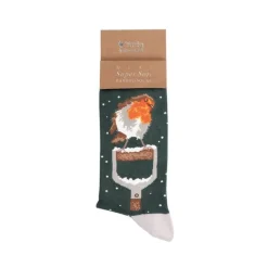Wrendale 'A Little Red' Robin Men's Socks- Socks