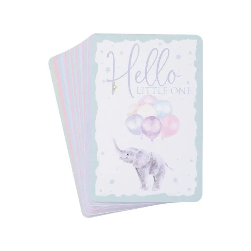 Wrendale Baby Animal Milestone New Baby Boxed Cards- Boxed Cards