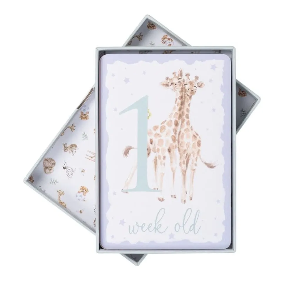 Wrendale Baby Animal Milestone New Baby Boxed Cards- Boxed Cards