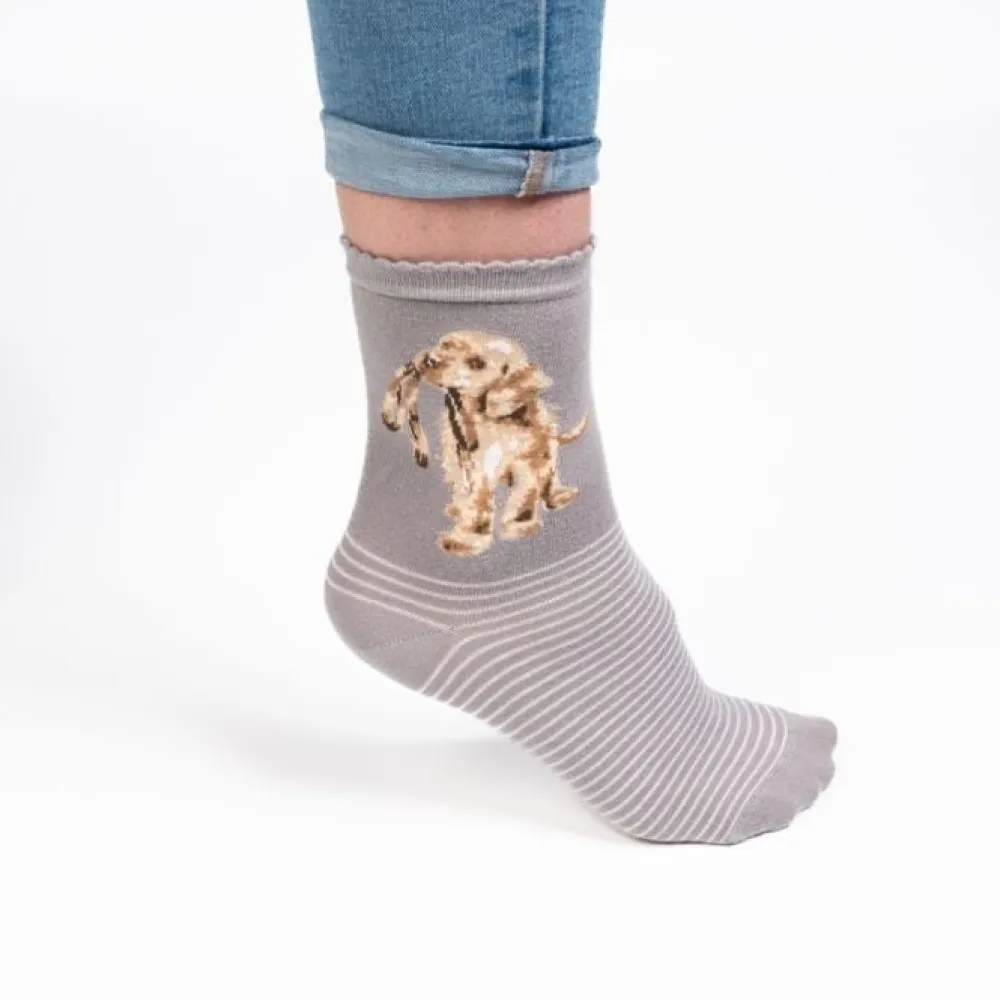 Wrendale 'Hopeful' Labrador Gray Women's Socks- Socks