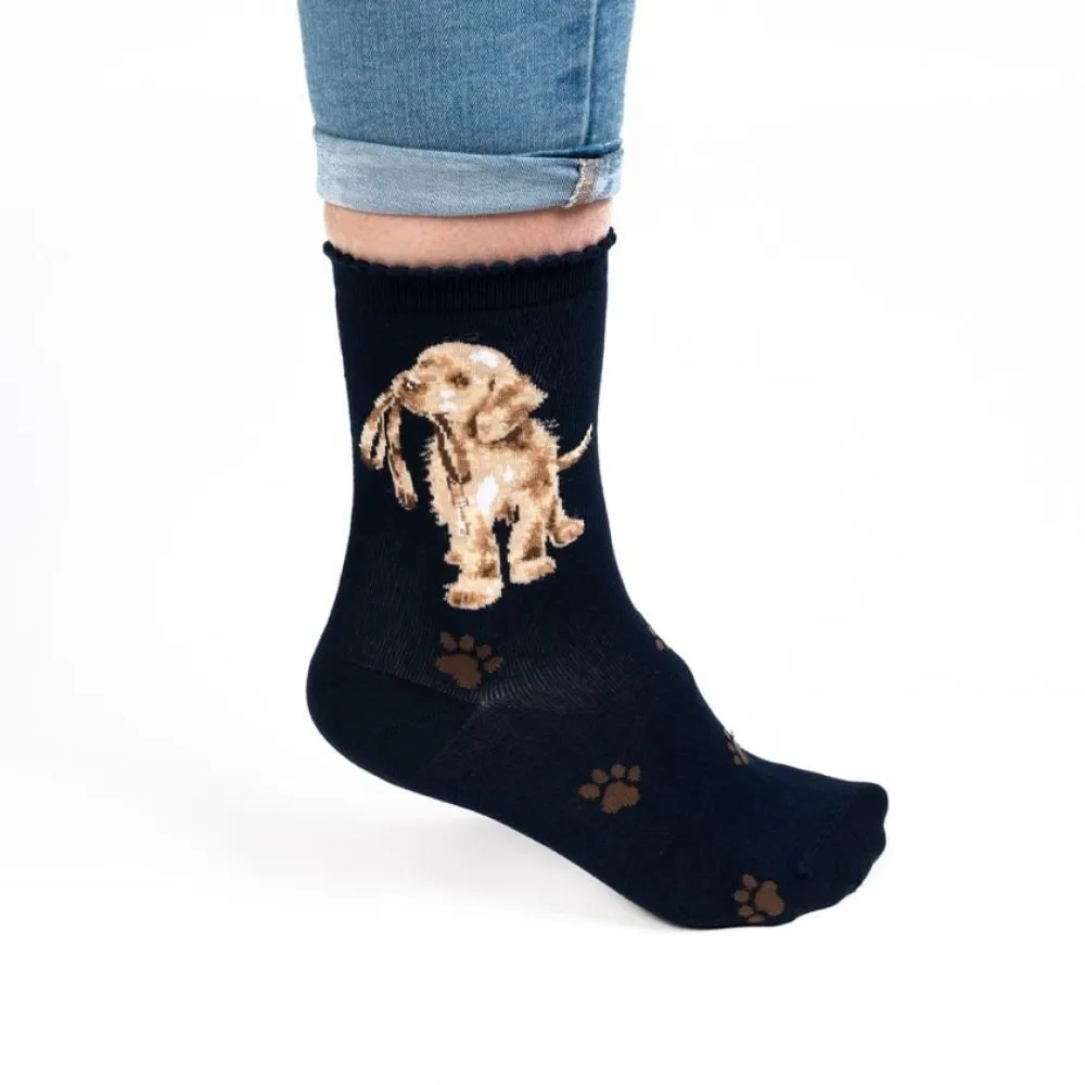 Wrendale 'Hopeful' Labrador Navy Women's Socks- Socks