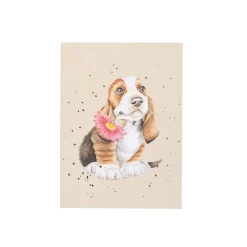 Wrendale Just for You Basset Hound Small Notebook- Journals & Other Stationery
