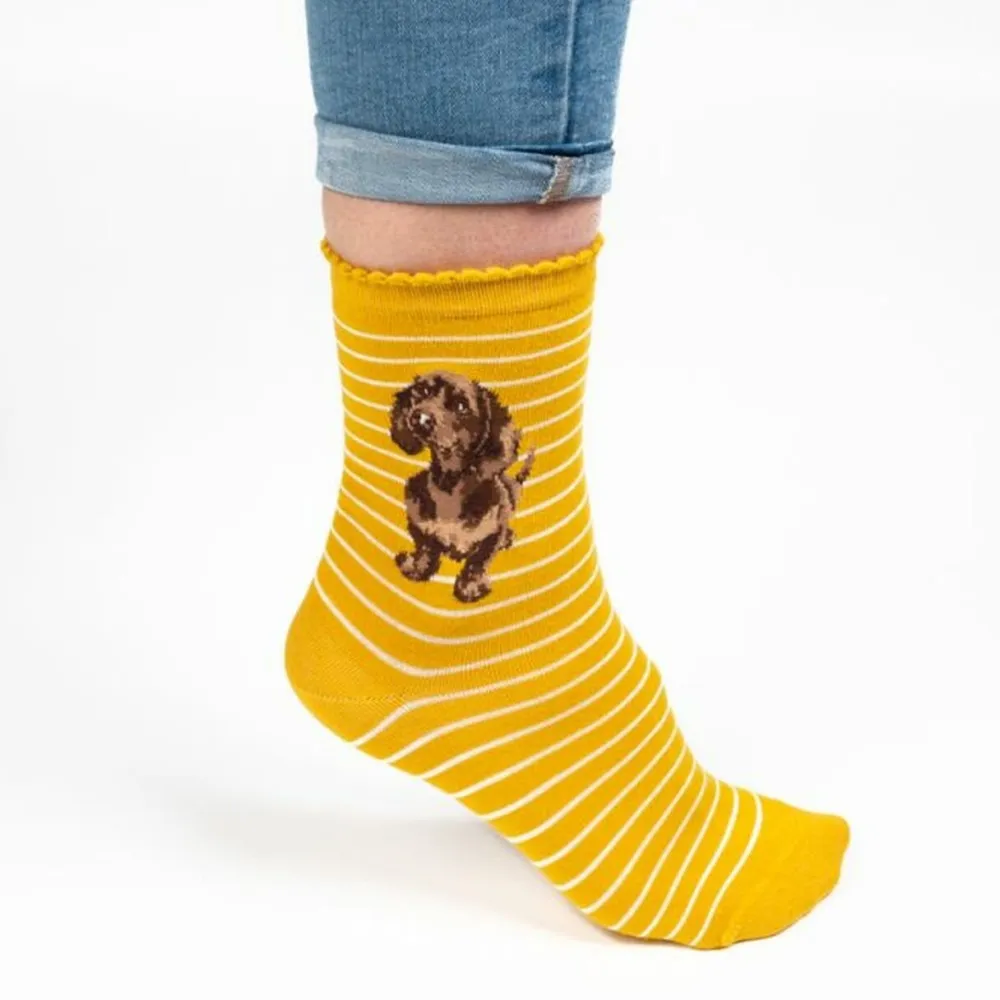 Wrendale 'Little One' Dachshund Women's Socks- Socks