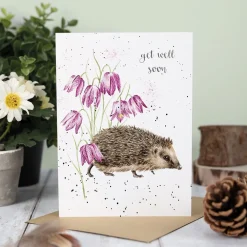 Wrendale 'Little Wanderer' Hedgehog Get Well Soon Card- Greeting Cards