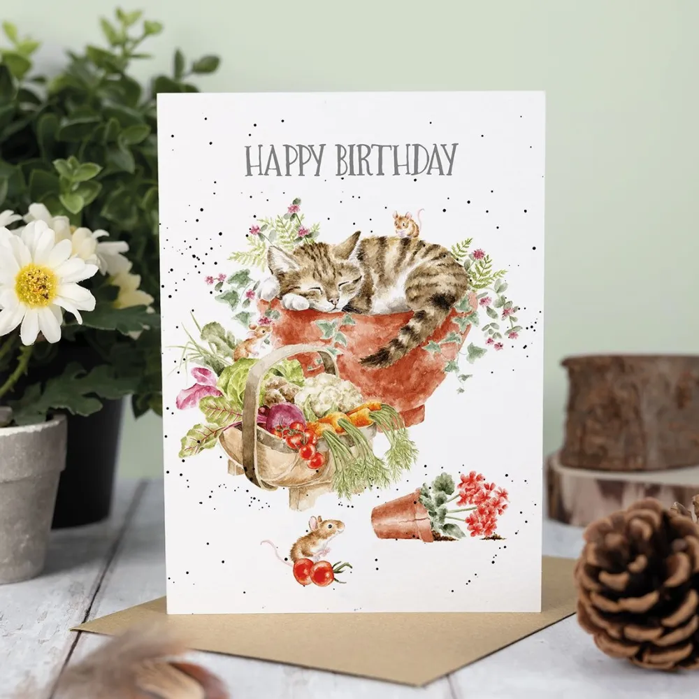 Wrendale 'Purrrfect Birthday' Cat & Mice Birthday Card- Greeting Cards