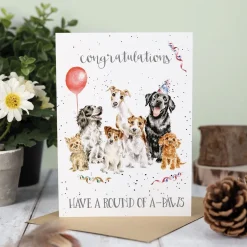 Wrendale Round of A-Paws Dog Birthday Card- Greeting Cards