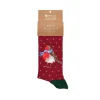 Wrendale 'Season's Tweetings' Robin Men's Socks- Socks