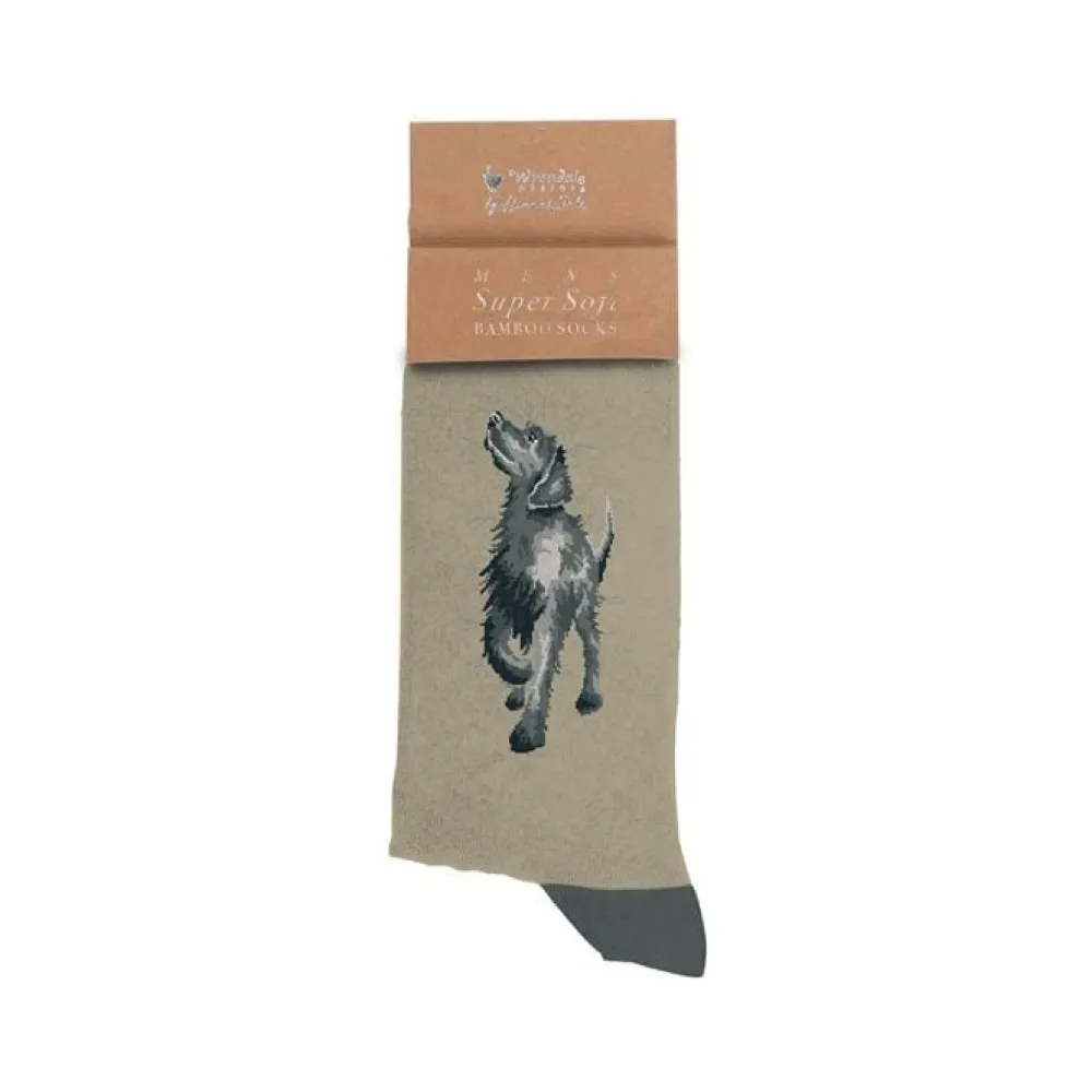 Wrendale 'Walkies' Labrador Men's Socks- Socks