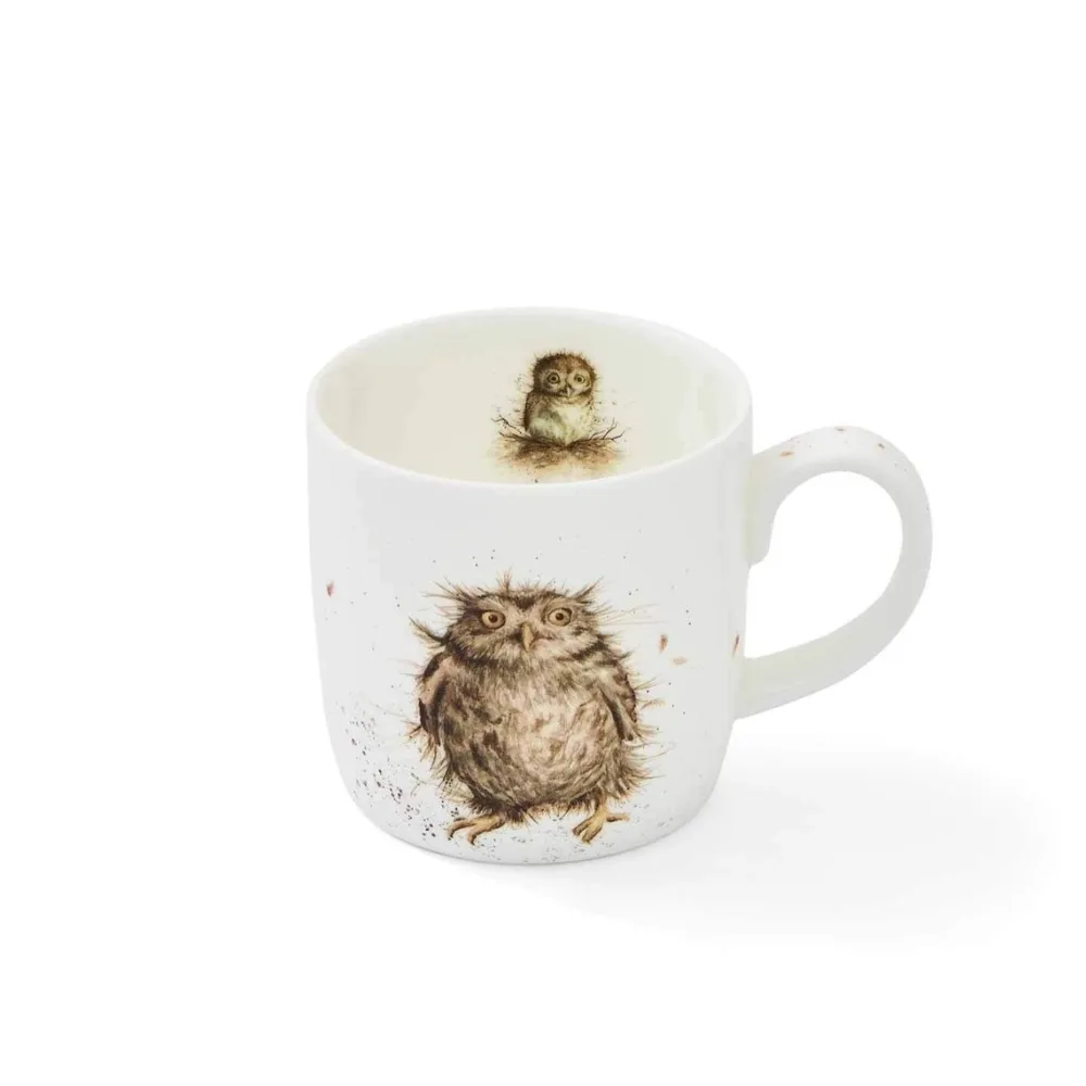 Wrendale What A Hoot Owl Small Mug- Assorted Mugs
